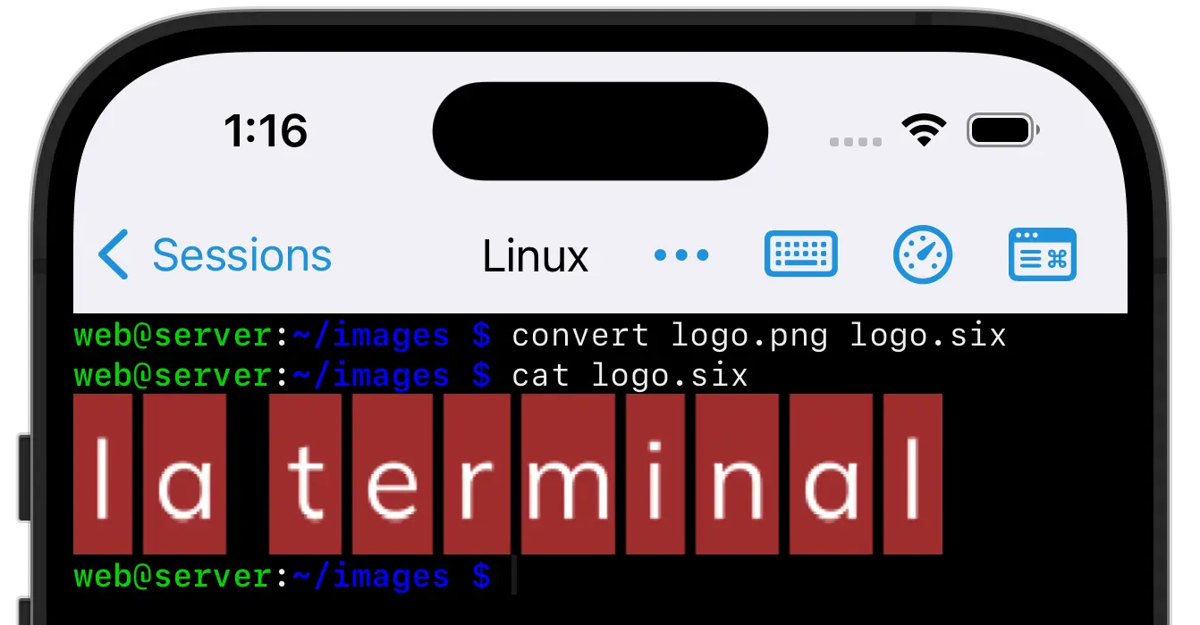The La Terminal logo rendered on the command line